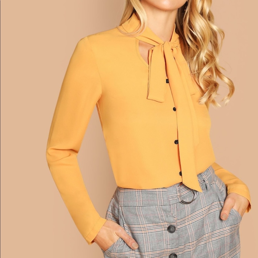 Button Up Solid Blouse - image 1
